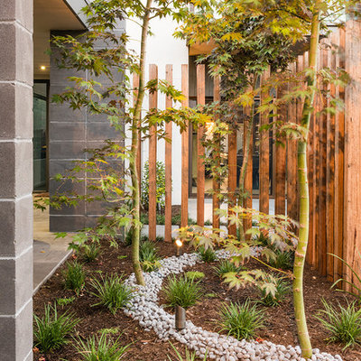This is an example of a mid-sized contemporary side yard mulch landscaping in Melbourne.