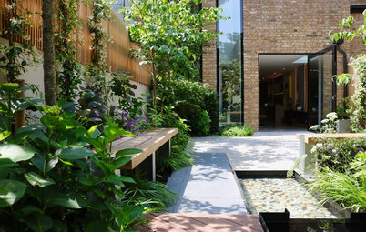Garden Tour: An Overlooked Space Becomes a Private Haven