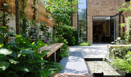 Garden Tour: An Overlooked Space Becomes a Private Haven