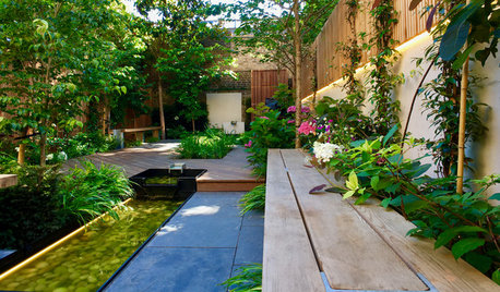 Yard of the Week: Overlooked Space Becomes a Shady Retreat