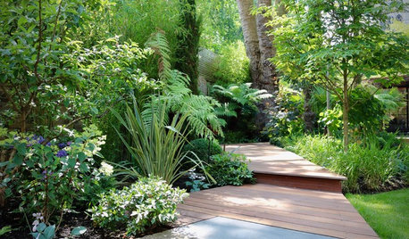 Garden Tour: A Tropical Haven With Space for Play and Socialising