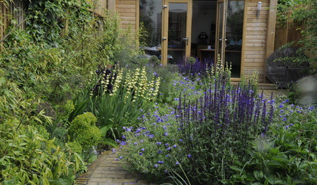 10 Easy Ways Your Garden Can Help to Support Bees