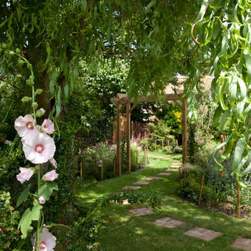 Long Narrow Garden Path