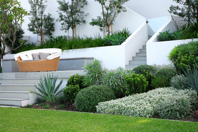 Cette image montre un grand jardin arrière minimaliste avec un mur de soutènement.