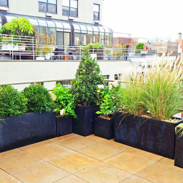 Lush West Village Rooftop Garden with Container Plants in Metal Pots