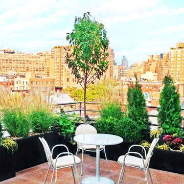 Lush West Village Rooftop Garden with Container Plants in Metal Pots