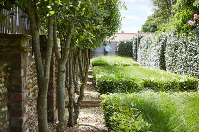Medium sized contemporary back garden in Sussex.