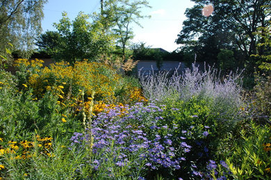 Back garden in Kent.