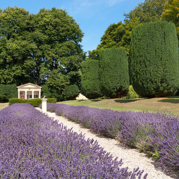 Mediterranean Garden
