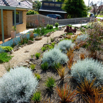 Melbourne Native Garden