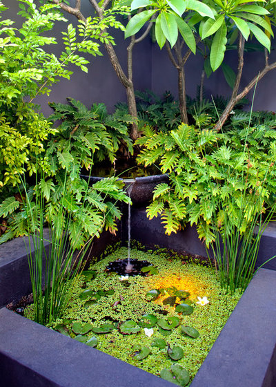 Contemporary Garden by Cultivart Landscape Design