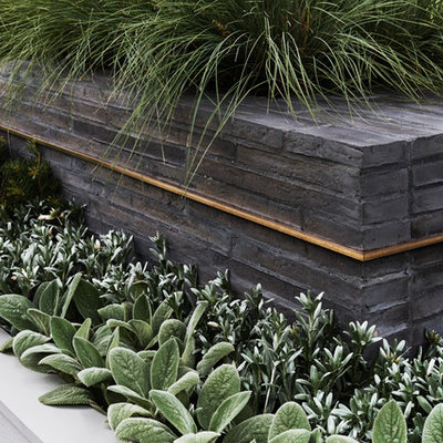 Design ideas for a small contemporary courtyard retaining wall landscape in Melbourne.