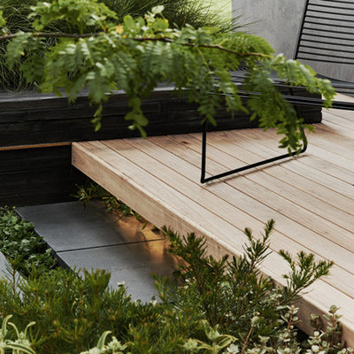 This is an example of a small contemporary courtyard formal garden in Melbourne with decking.