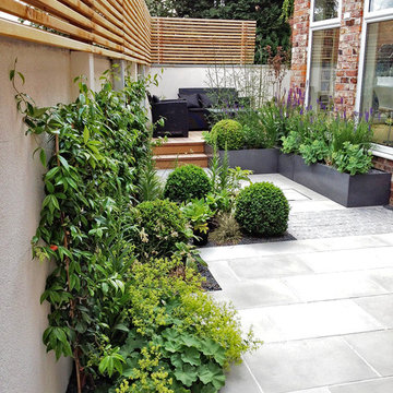 75 Beautiful Modern Garden Ideas and Designs - February 2022 | Houzz UK