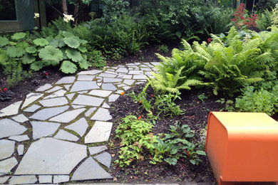 Moss path and damp tolerant planting