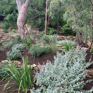 Mount Osmond | Garden Re-Design | Native Garden