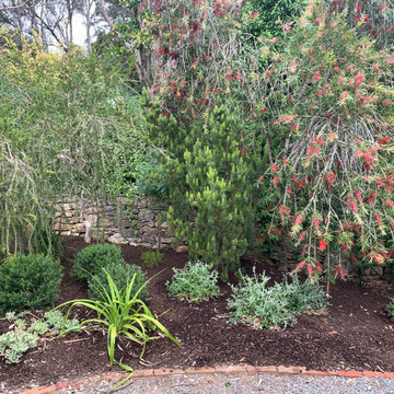 Mount Osmond | Garden Re-Design | Native Garden