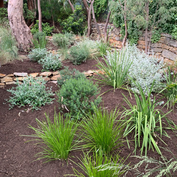 Mount Osmond | Garden Re-Design | Native Garden