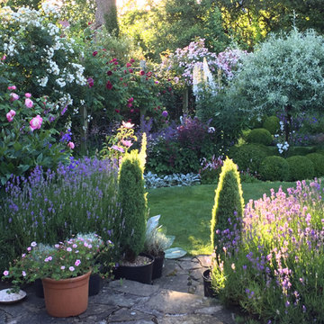 My Garden in Cheshire