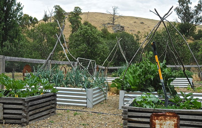 9 Ways to Change Up Your Vegetable Garden for the Coming Season