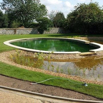 Natural filtration swimming pool