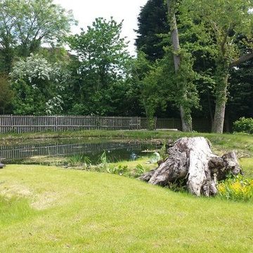Natural Pond Construction, Kent