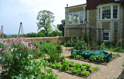 Lovely-to-look-at Kitchen Gardens
