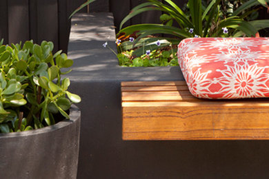 Mittelgroßer Moderner Gartenweg hinter dem Haus, im Sommer mit direkter Sonneneinstrahlung und Betonboden in Sydney