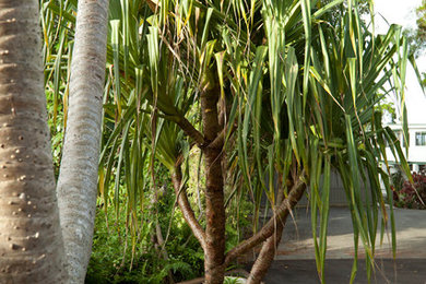 Design ideas for a world-inspired garden in Brisbane.