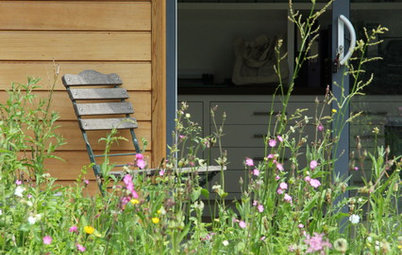 How to Create a Spirit-lifting Sensory Garden