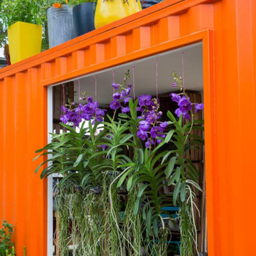 Orchids suspended from container doorway