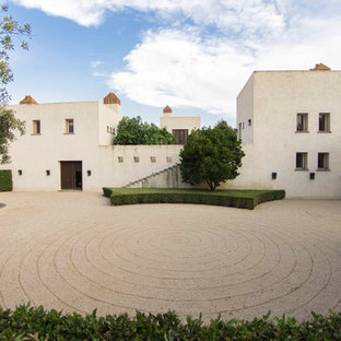 Ejemplo de jardín de secano, contemporáneo, en patio trasero, con gravilla