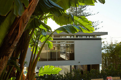 Großer Maritimer Garten mit direkter Sonneneinstrahlung in Sydney