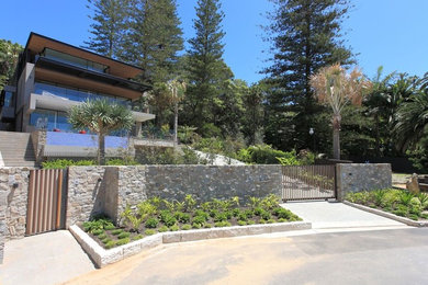 Photo of a large contemporary garden in Sydney.