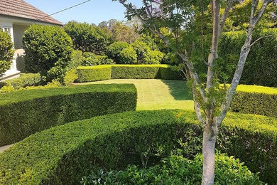 Inspiration for a traditional garden in Sydney.