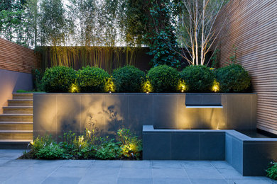 Photo of a contemporary garden in Surrey.