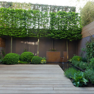 Ispirazione per un giardino design con fontane