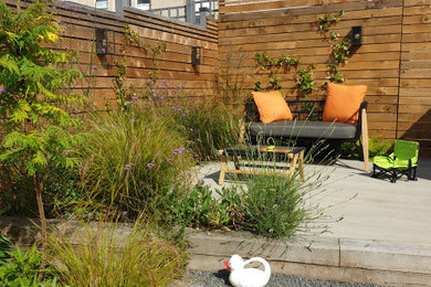 This is an example of a contemporary garden in London.