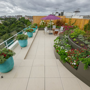 Penthouse Roof Terrace Design