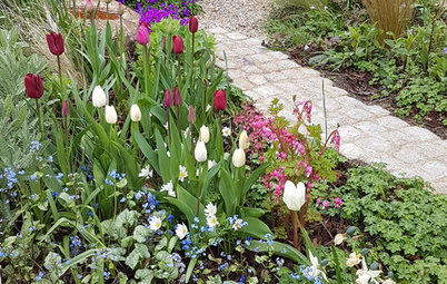 Which Shade-loving Bulbs to Plant Now for Spring