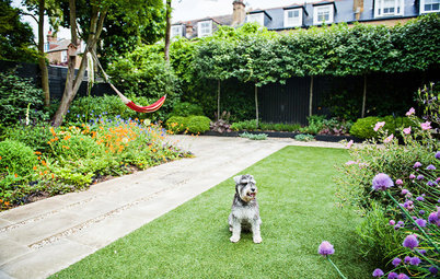 Pro Panel: How to Make Your Small Urban Garden Dog Friendly