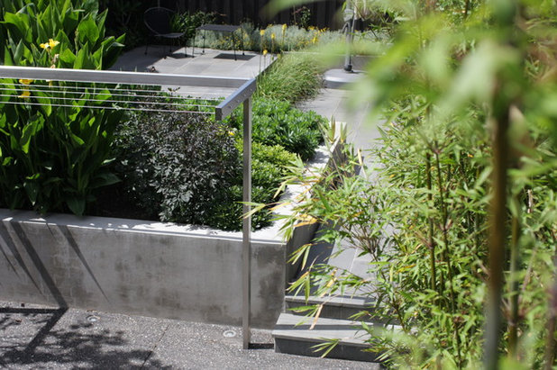 Contemporary Garden Personal space