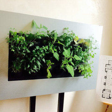 Planted Pictures - New product