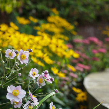 Planting by Barnes Walker Landscape Architecture, Manchester