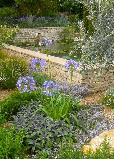 Jardín by Claudia De Yong Garden Design
