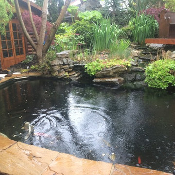 Pond and Water Feature