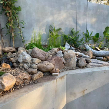 Ponds, Boulders, Tropical Plants