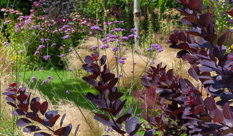 Bring the Beauty of Prairie-Style Planting to Your Garden