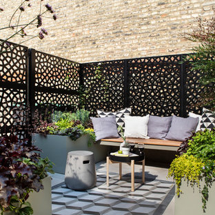 Small contemporary garden in London with a potted garden.