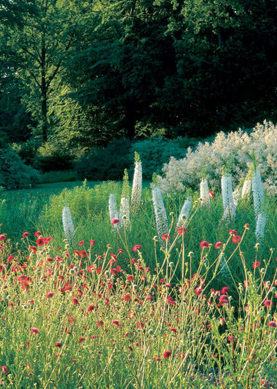 Scandinavian Garden Private Garden II